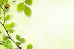 边框树叶创意简约绿色banner背景