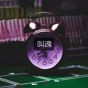 叫魂，深入探索历史文化的书籍
