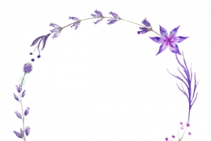 紫色花圈图片素材