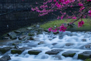 水 瀑布 石头 树 樱花 中国 灯笼 4k壁纸 3840x2160