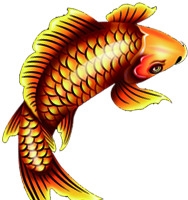 金色鲤鱼金秋高清PNG透明装饰动物设计素材免费下载