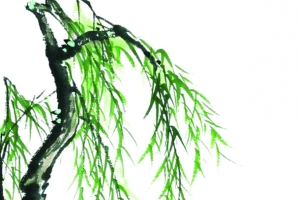 中国风水墨柳树装饰
