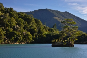 树 石头 岛屿 山脉 海洋 4k壁纸 3840x2160