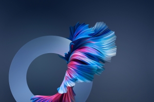 华为未来之翼壁纸原图 Huawei Mate 40 Pro