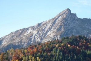 山 斜坡 森林 树木 自然 4k壁纸 3840x2160