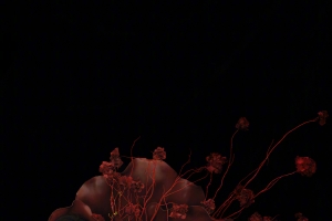 杨幂红色裙子花朵4K手机高清壁纸2160x3840免费下载