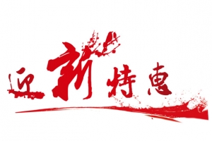 春节特惠