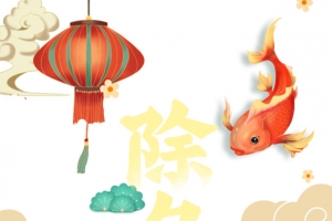 春节除夕灯笼鲤鱼祥云浪花国潮元素