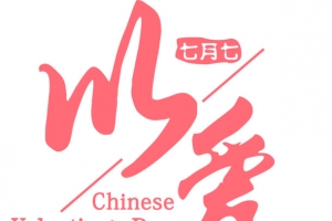 以爱之名爱你一生