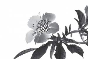 水墨花朵花枝装饰