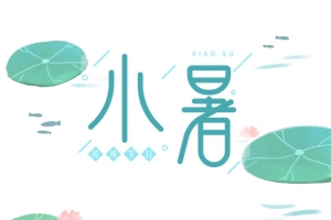 夏天荷叶小暑节气元素