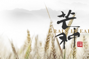 水墨风芒种首图