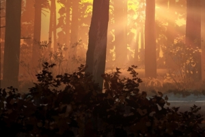 奇异人生2 Life is Strange 2 5120x1440游戏壁纸