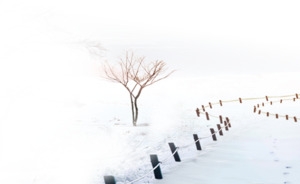 简约雪中小路