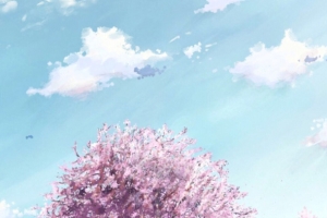 紫色樱花碧蓝天空