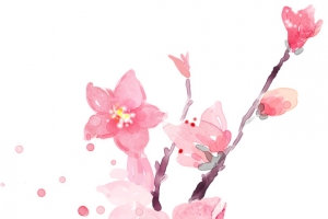 高清水彩手绘粉色花枝