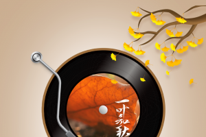 秋天背景立秋树枝留声机