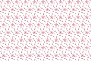彩绘樱花花朵背景矢量图