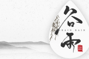 水墨风谷雨首图