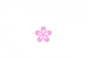 浪漫的粉色樱花矢量图
