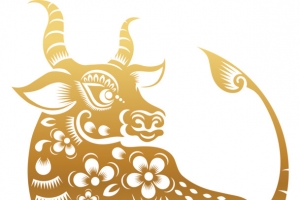 牛年牛头剪纸