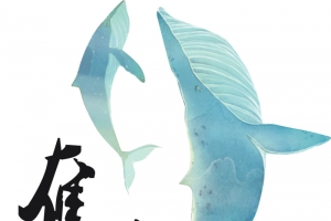 班服，蓝色，鲸鱼，高清