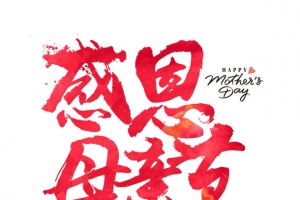 感恩母亲节节日红色字体