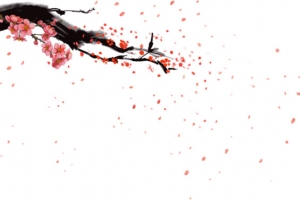 唯美漂浮梅花花瓣