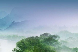 白雾山间绿树背景海报