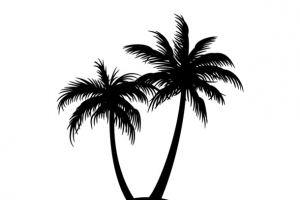 椰树元素PNG