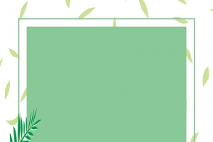 绿色植物清新背景