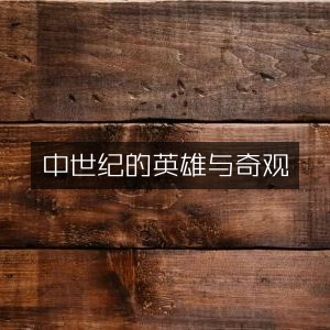 中世纪英雄与奇观，探索历史文化经典之作