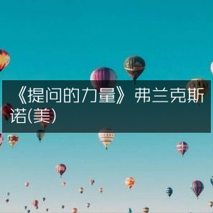 《提问的力量》，弗兰克斯诺（美）著，个人能力提升必备书籍