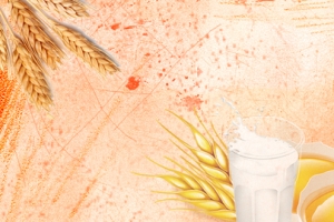 黄色清新文艺风麦子饼干电商banner