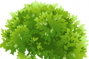 绿色树丛手绘高清PNG透明植物装饰元素设计素材免费下载
