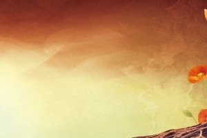 化妆品大气唯美简约banner