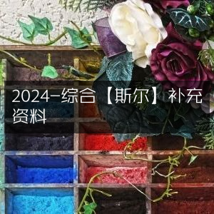 2024斯尔综合补充资料大全