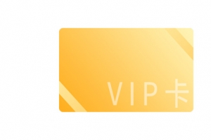 双十一超级vip1