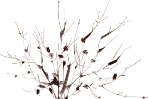 创意手绘合成素描家具装饰品