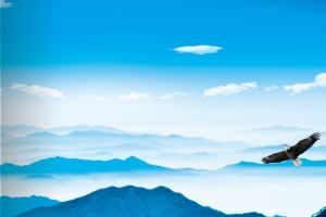 企业画册背景设计素材