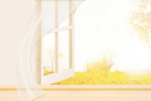 黄色文艺秋季温馨窗外纱窗banner