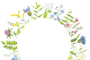 边框花圈元素植物花圈手绘花朵