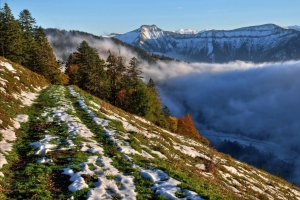 山坡 雪 树木 山 薄雾 4K风景摄影图片