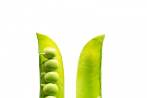豌豆 新鲜豌豆蔬菜