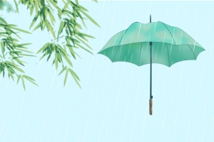 插画背景谷雨节气海报