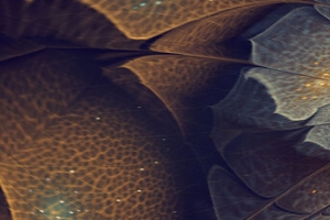 黑金酷炫大气banner