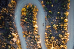 道路 汽车 鸟瞰图 树木 转向 4k壁纸 3840x2160