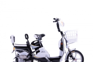 电动车