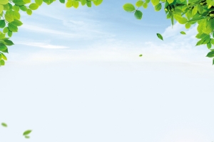 新鲜柚子海报背景