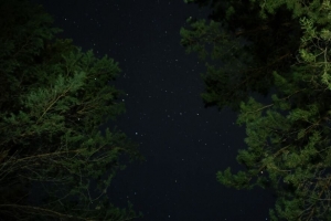 棵树 星空 夜晚 星星 黑暗 4k壁纸 3840x2160